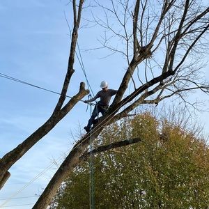 Meet your Posher, Nathaniel